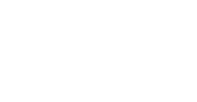 Miss Maid Group